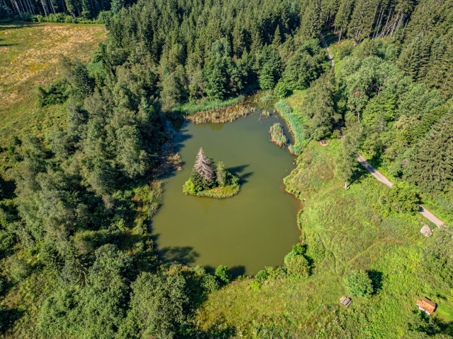 Espace Naturel Sensible du Marais des Seiglières_Saint-Martin-d'Uriage