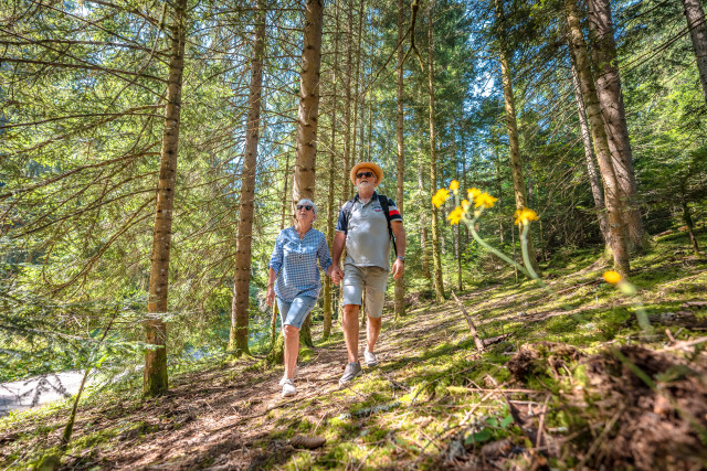 Espace Naturel Sensible du Marais des Seiglières_Saint-Martin-d'Uriage