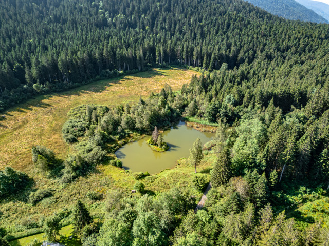 Espace Naturel Sensible du Marais des Seiglières_Saint-Martin-d'Uriage