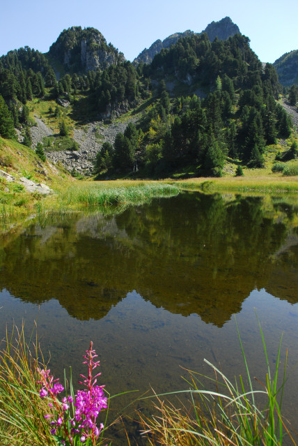 Image lac des Pourettes Image lac des Pourettes