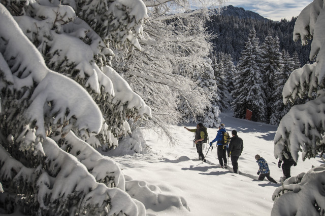 Pré Gaudet - © Alain Doucé Pré Gaudet