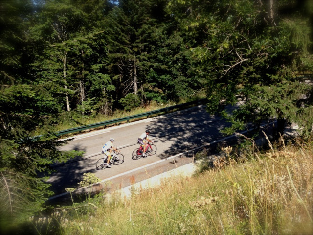 Road cycling - © Stephane OSTERNAUD Timtoo Road cycling