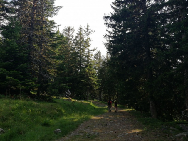 Sentier plateau de l'Arselle