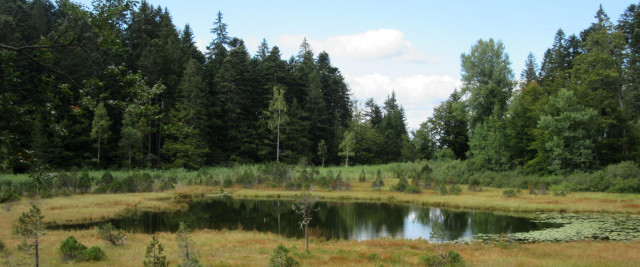 Le Lac Luitel et sa tourbière Le Lac Luitel et sa tourbière