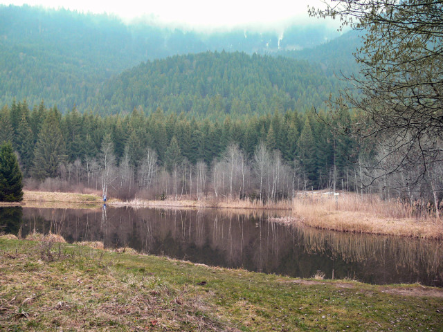 Seiglières swamp