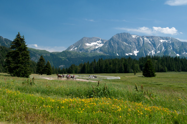 The Arselle's plateau in summer