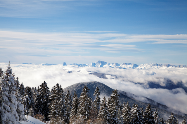 Panoramic view of Grenoble