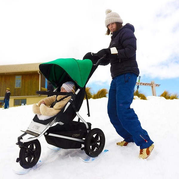 Mountain Buggy stroller picture