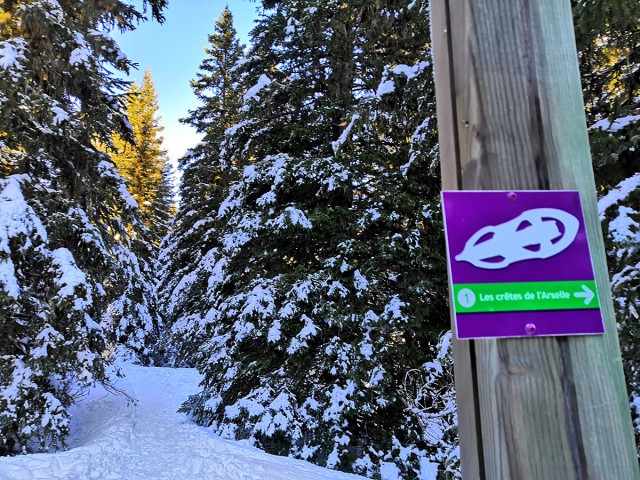 Chamrousse sunset romantic walk Arselle plateau winter mountain ski resort isere french alps france