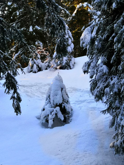 Chamrousse sunset romantic walk Arselle plateau winter mountain ski resort isere french alps france