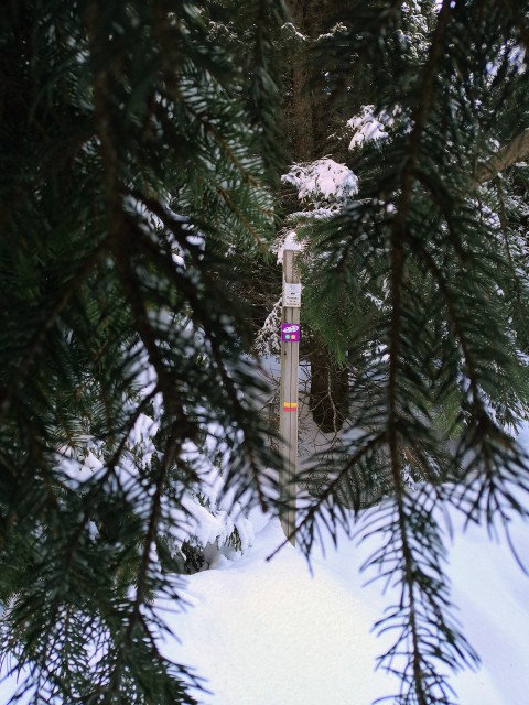 Chamrousse sunset romantic walk Arselle plateau winter mountain ski resort isere french alps france