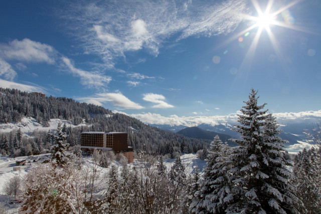 Chamrousse carriage ride activity test arselle plateau nordic area mountain ski resort grenoble isere french alps france