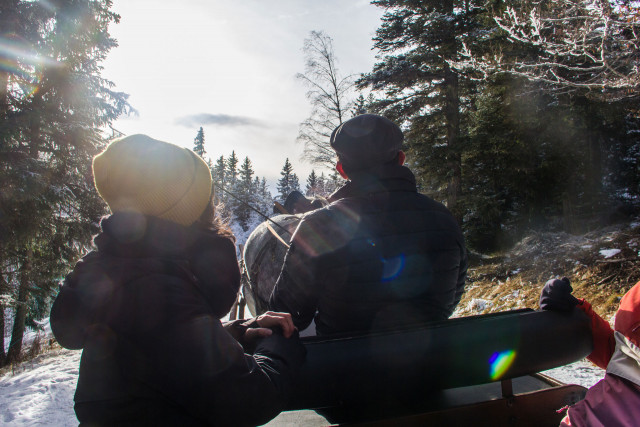 Chamrousse carriage ride activity test arselle plateau nordic area mountain ski resort grenoble isere french alps france