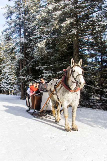 Chamrousse carriage ride activity test arselle plateau nordic area mountain ski resort grenoble isere french alps france