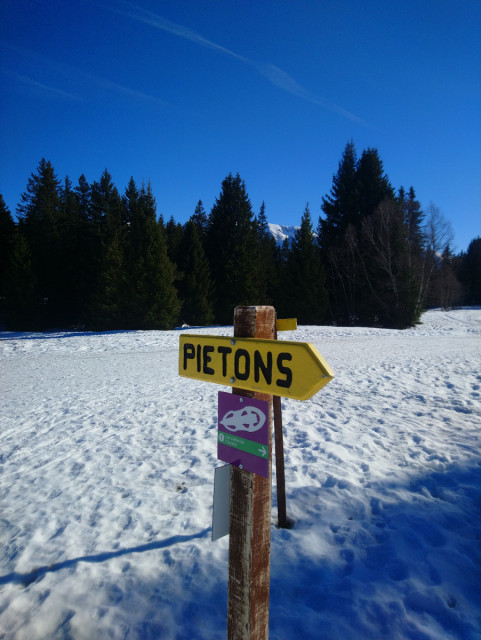 parcours-10-raquettes-poussette-nordic-parc-chamrousse-59042