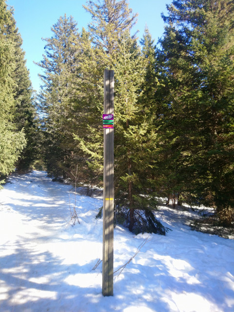 parcours-3-raquettes-poussette-nordic-parc-chamrousse-59034