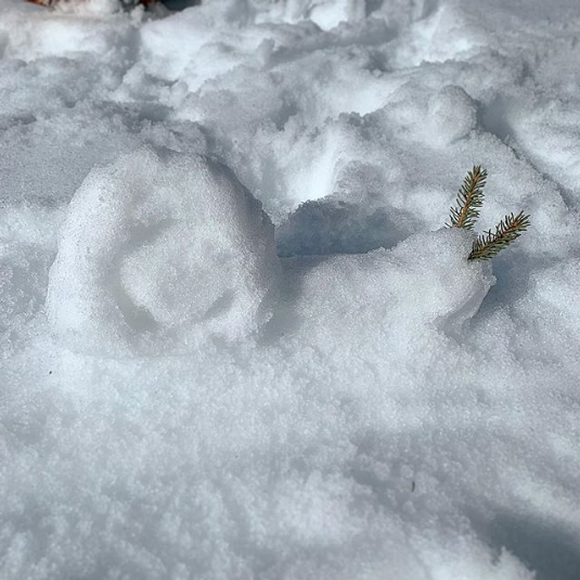 Chamrousse photo insolite escargot neige hiver station montagne ski grenoble isère alpes france