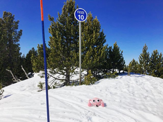 Chamrousse photo insolite araignée neige hiver station montagne ski grenoble isère alpes france