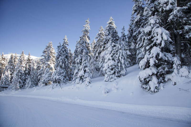 Arselle walking path