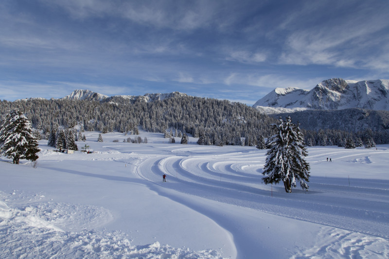 Plateau de l'Arselle en hiver