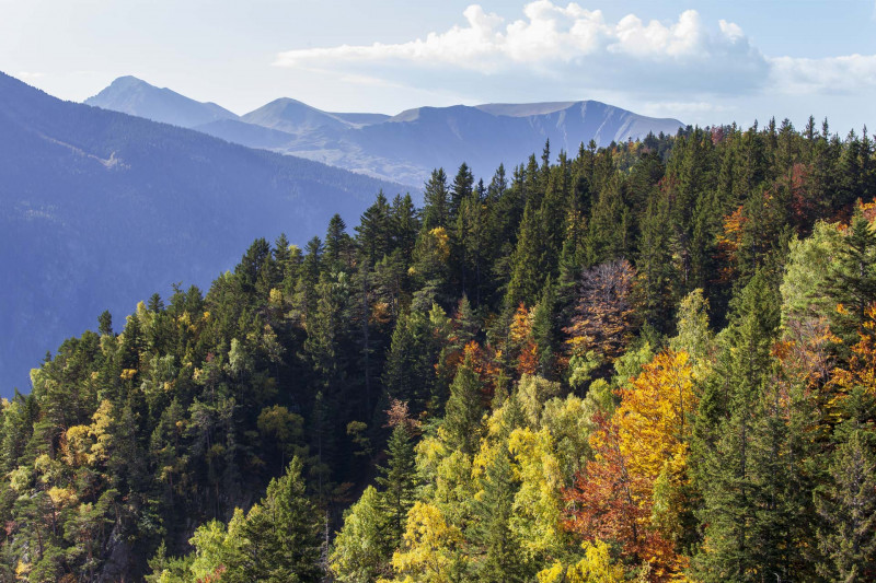 Domaine montagne Chamrousse