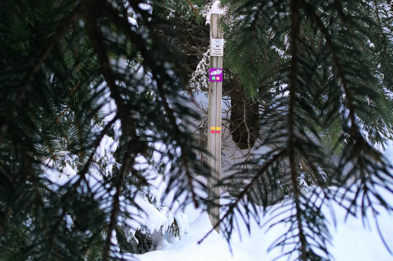 Pfad Arselle Schneeschuhwandern Chamrousse