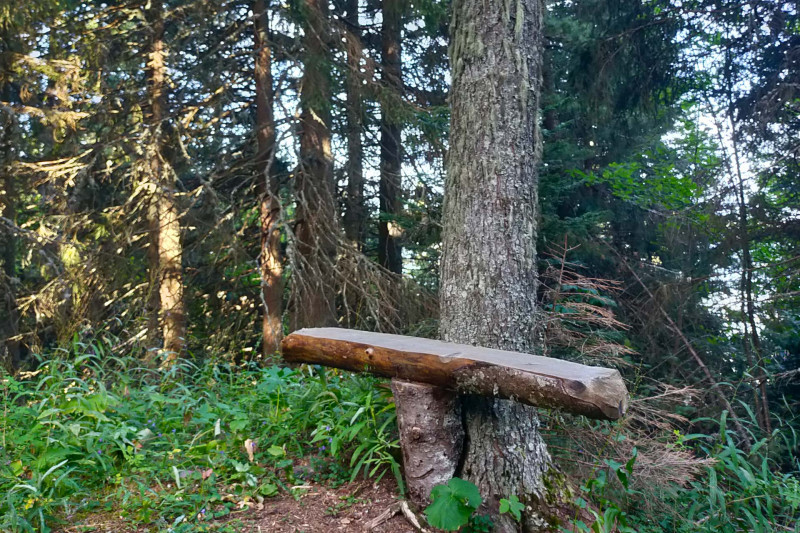 Banc sculpté sur le sentier du renard Chamrousse 1650-1750