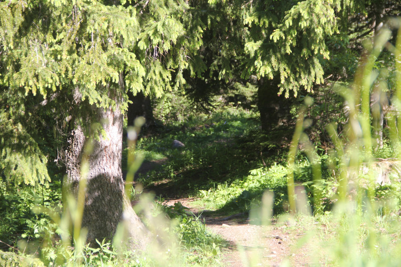 Pathway 1650-1750