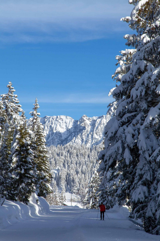 Chamrousse carriage ride activity test arselle plateau nordic area mountain ski resort grenoble isere french alps france