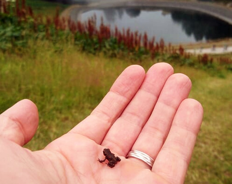 nail resort rencontre