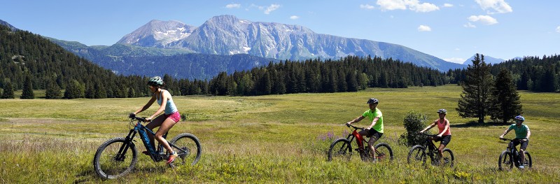 Vélo tout terrain électrique Chamrousse
