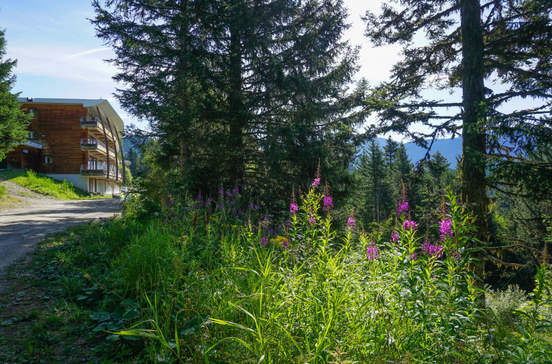 Chamrousse réservation location appartement villages du bachat station ski montagne grenoble isère alpes France