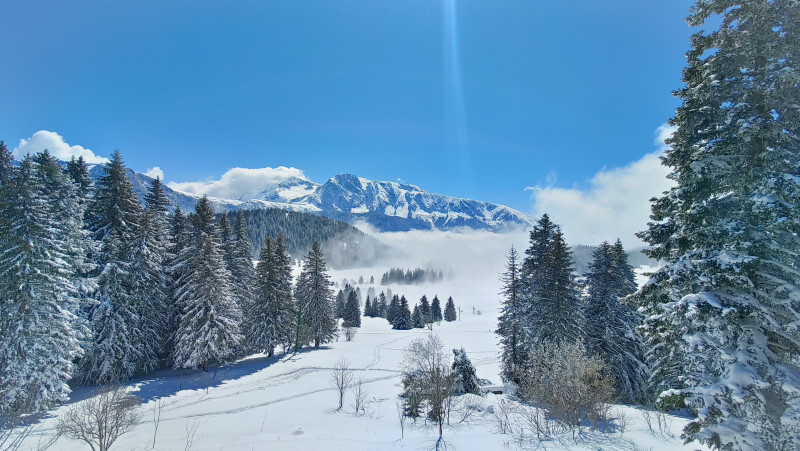 Chamrousse réservation location appartement villages du bachat station ski montagne grenoble isère alpes France