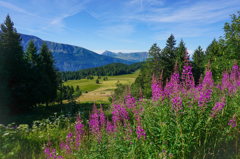  Chamrousse réservation location appartement villages du bachat station ski montagne grenoble isère alpes France
