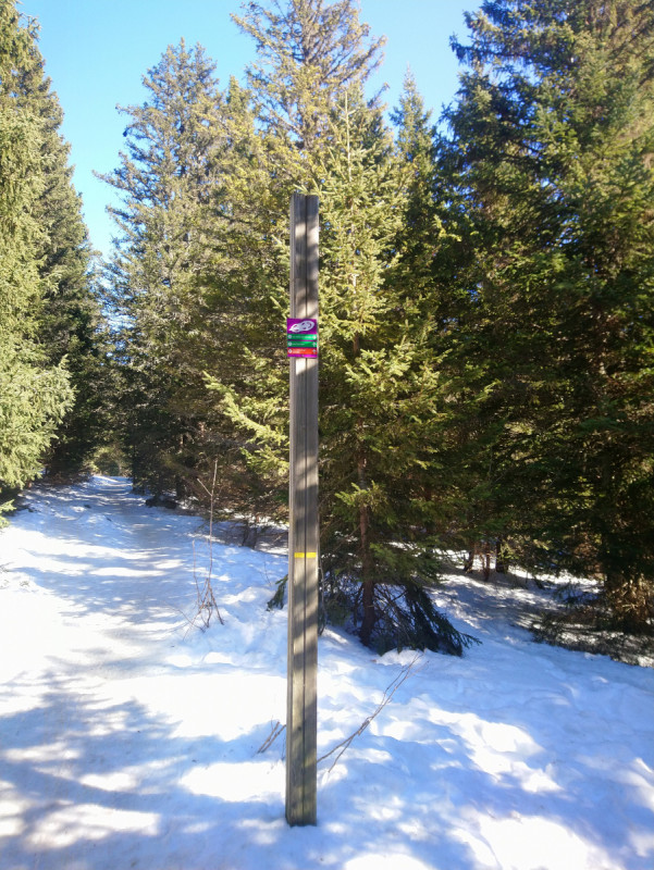 parcours-3-raquettes-poussette-nordic-parc-chamrousse-59034