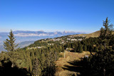 Vue