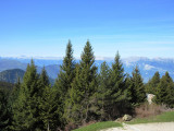 Vue