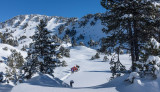 Belledonne in Bewegung