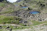 Trails des lacs de Chamrousse-Belledonne