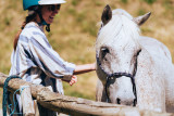 Equestrian activities on the Arselle plateau_Chamrousse