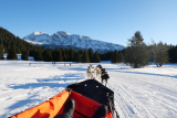 Baptême sur le plateau nordique - chiens de traineaux Chamrousse