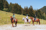 Reitaktivitäten auf dem Plateau de l'Arselle_Chamrousse
