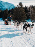Taufe mit Schlittenhunden Chamrousse