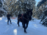 Ski joering - La Liaison Chamrousse