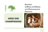 Chamrousse mushroom-picking weekend