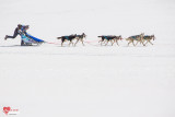 Photo Lekkarod course chiens de traîneau