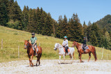 Equestrian activities on the Arselle plateau_Chamrousse