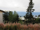 Vue