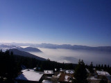 Vue