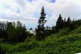 Vue
